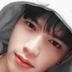 yanzcy