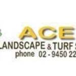 acelands cape 1