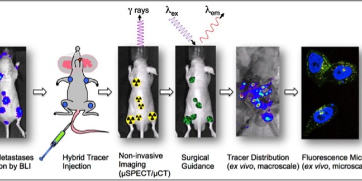 Multimodal Imaging Market Size, Growth Strategies, Competitive Landscape, Factor Analysis, 2024–2030