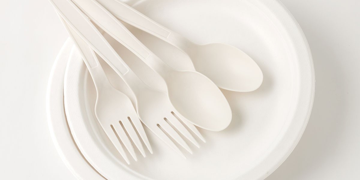 The Science Behind Biodegradable Tableware: How It Breaks Down Naturally