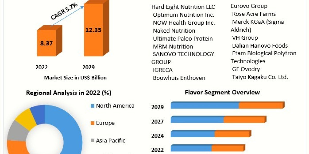 Egg Protein Market Industry share, Future Growth And  Analysis
