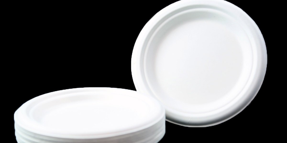 Biodegradable Tableware in the Restaurant Industry: Trends and Adoption Rates