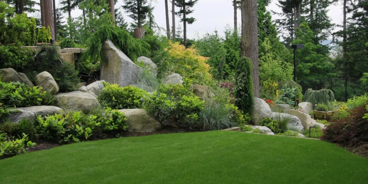Unveiling the Best Landscape Companies in Windsor CO:
