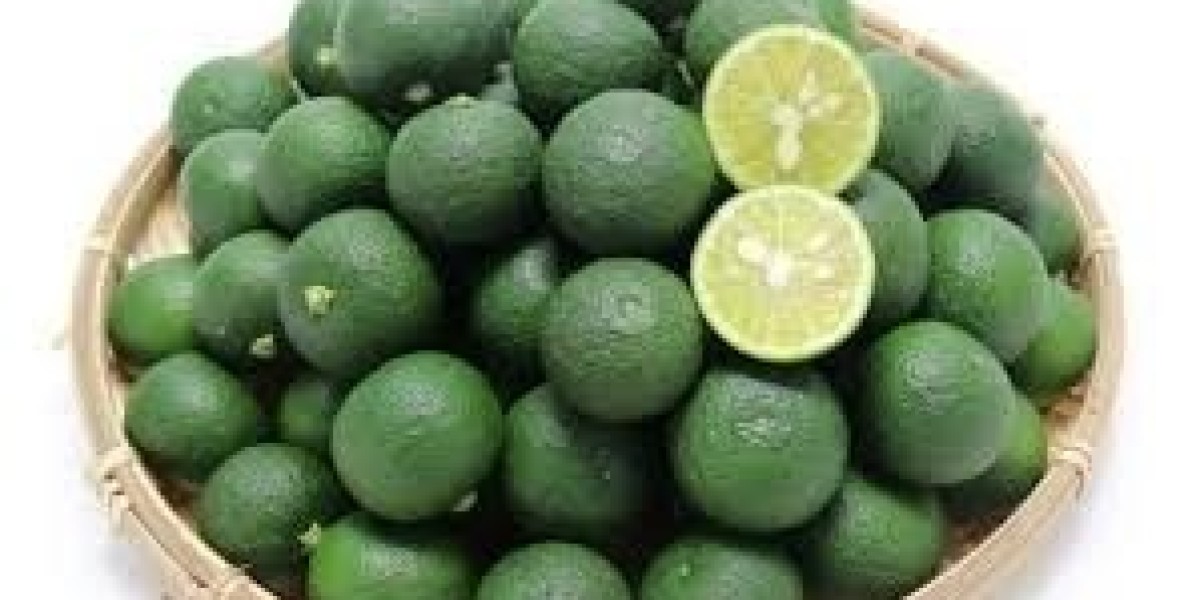 Sudachi Processing Plant Report 2024, Machinery, Cost Analysis and Raw Material Requirements