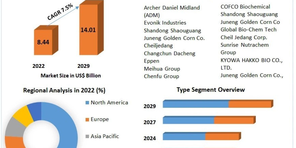 Navigating the Future: Lysine Market Insights and Forecasts for 2029