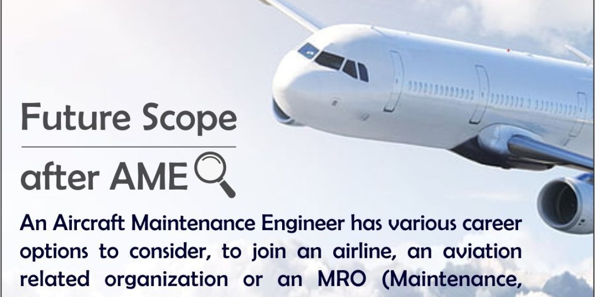 Aircraft Maintenance Engineering