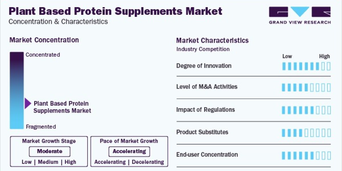 Plant Based Protein Supplements Market Segments, Key Players Strategies, and Forecasts Till 2030