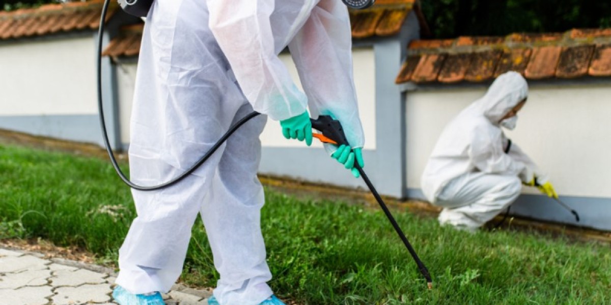 Effective Pest Control Solutions in Montgomery and Willis, TX