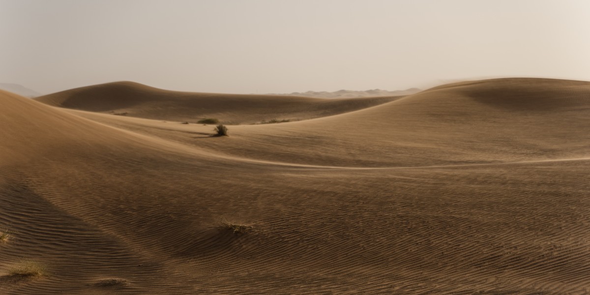 Experience the Thrill: Adventure Desert Tourism in Abu Dhabi Awaits You