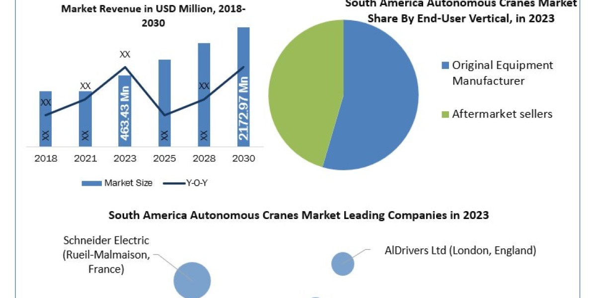 South America Autonomous Cranes Market Worth the Numbers: Size, Share, Revenue, and Statistics Overview | 2024-2030