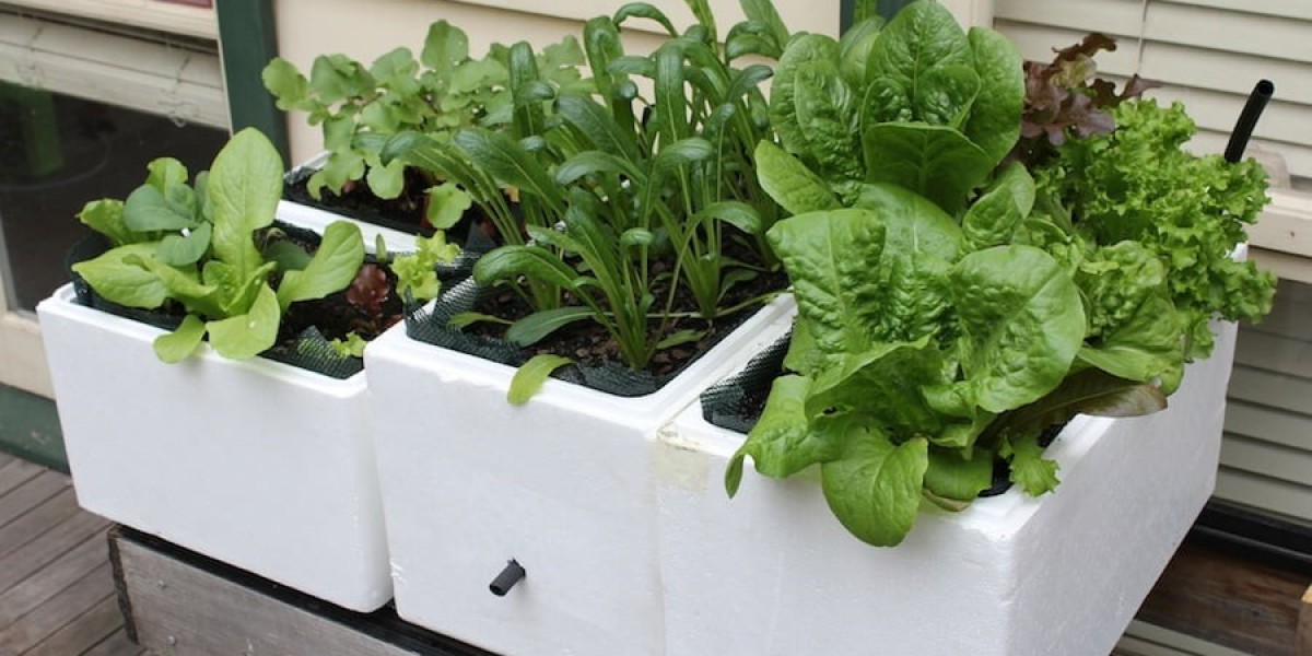 Self Watering Planter Box