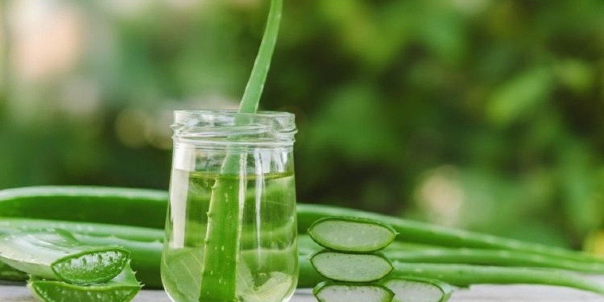 Aloe Vera Market Size is Projected To Exhibit Growth Rate 6.5% CAGR During 2024-2032