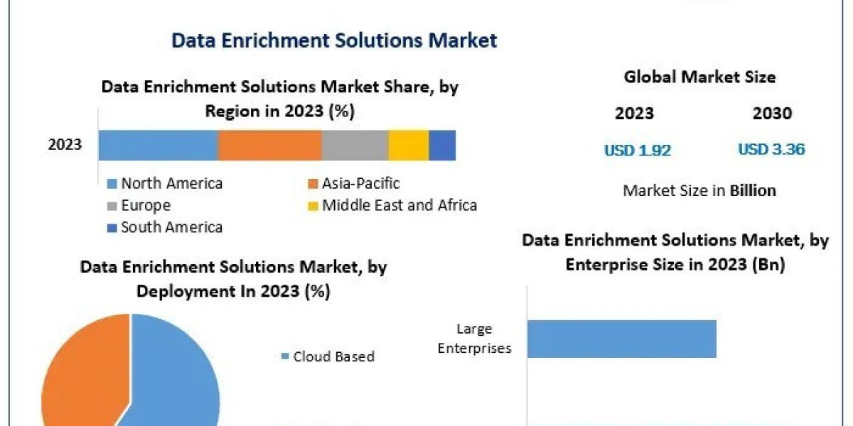 Data Enrichment Solutions Market Forecast 2024-2030: Trends, Growth, and Insights