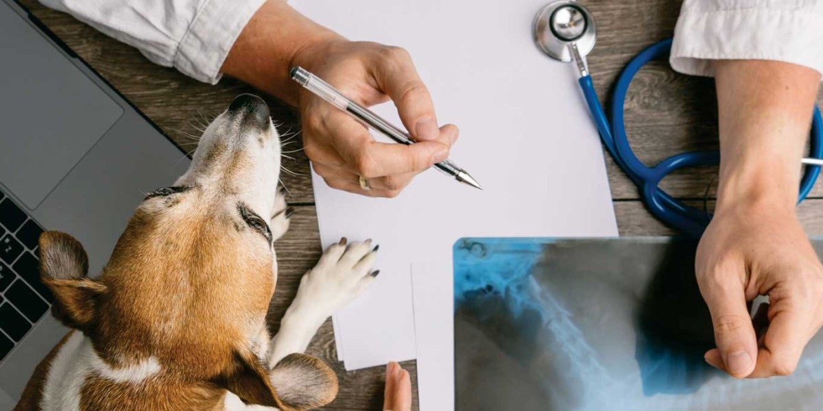 The Best Dog Food For Liver Support