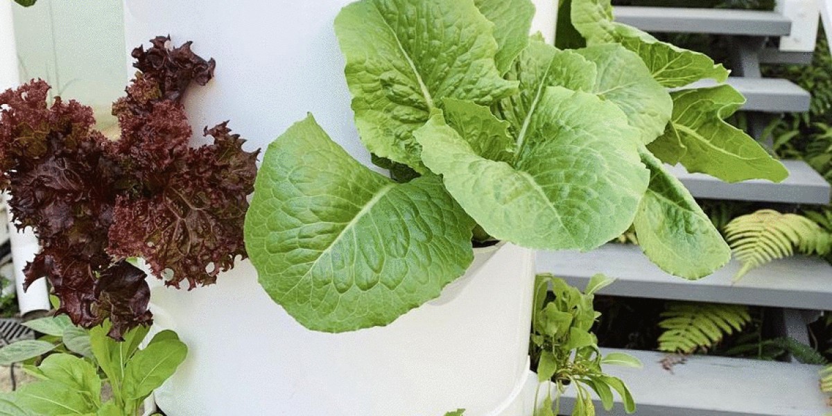 Vertical Farming Market Demand, Challenge and Growth Analysis Report 2035