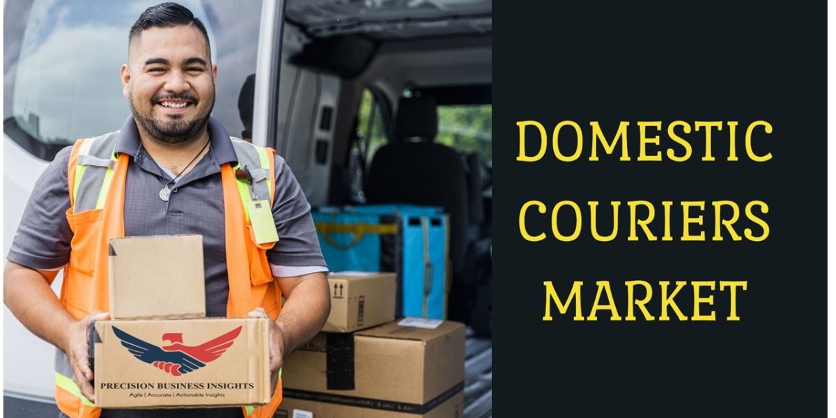 Domestic Couriers Market Size, Share and Forecast Report 2030