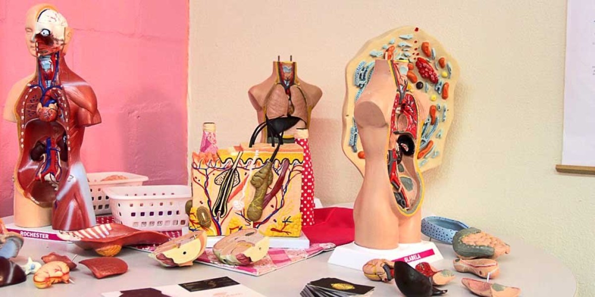 Dermato-Functional Physiotherapy