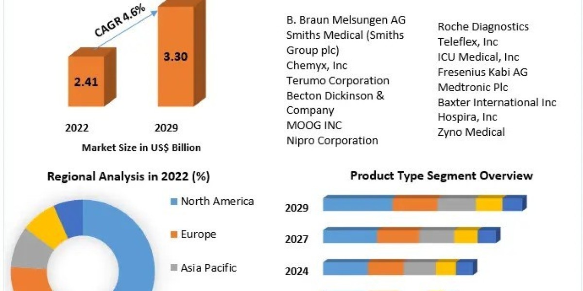 Comprehensive Analysis of the IV Infusion Pump Accessories Market 2029