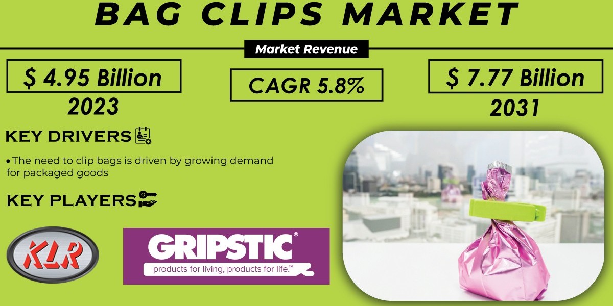 Bag Clips Market  Growth and Challenges Analysis Forecast by 2032