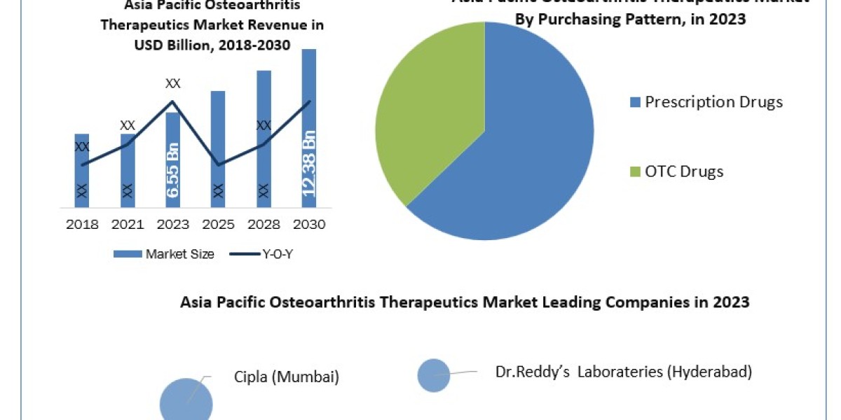 Asia Pacific Osteoarthritis Therapeutics Market Mastery Size, Share, Revenue, and Worth Statistics Overview 2024-2030