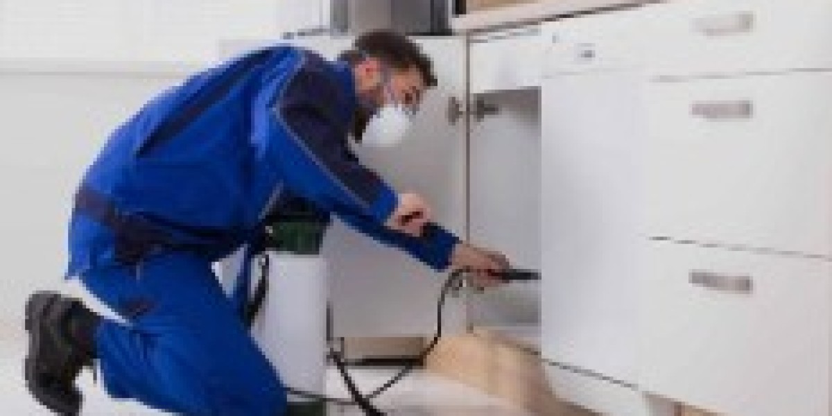 Choosing Between a Pest Controller and a Plumber in Southend: What You Need to Know