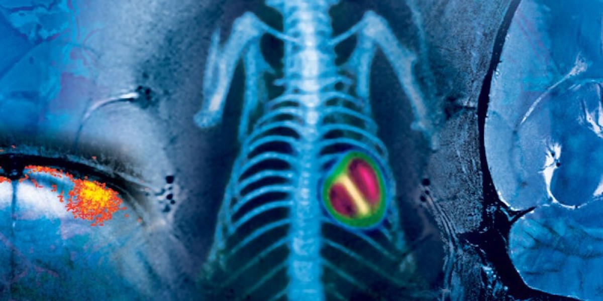 Preclinical Imaging Market 2024: Size, Share, Key Players, Opportunity and Forecast to 2032