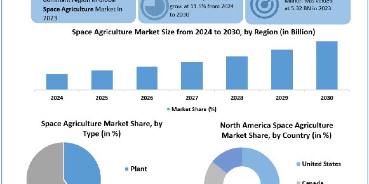 Space Agriculture Market Trends, Growth, Analysis, Key Players, Outlook, Report, Forecast 2024-2030