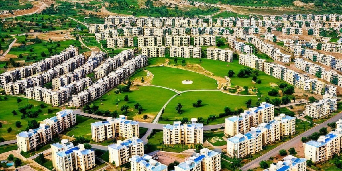 The Role of Real Estate Agencies in Urban Development