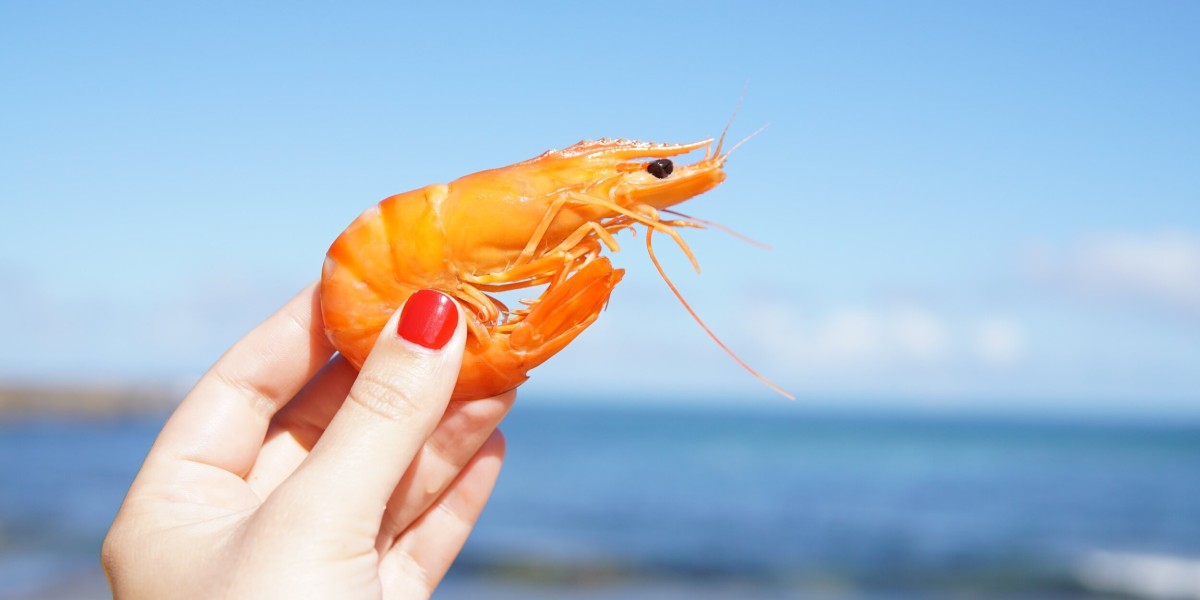 Shrimp Market Survey Insights, Outlook and Forecast 2024-2032