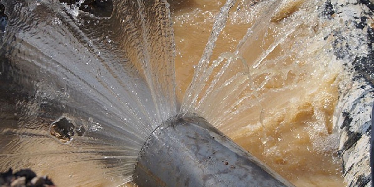 Cleaning and Sanitizing: A Beginner's Guide
