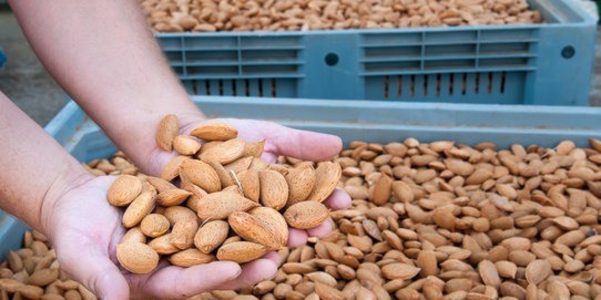 Almond Processing Plant Cost Report 2024: Industry Trends and Raw Materials Requirement