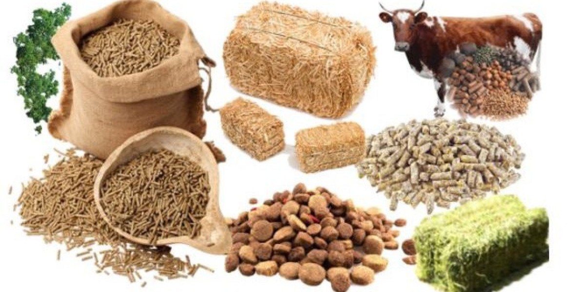 Animal Feed and Feed Additives Market is Expected to Gain Popularity Across the Globe by 2026