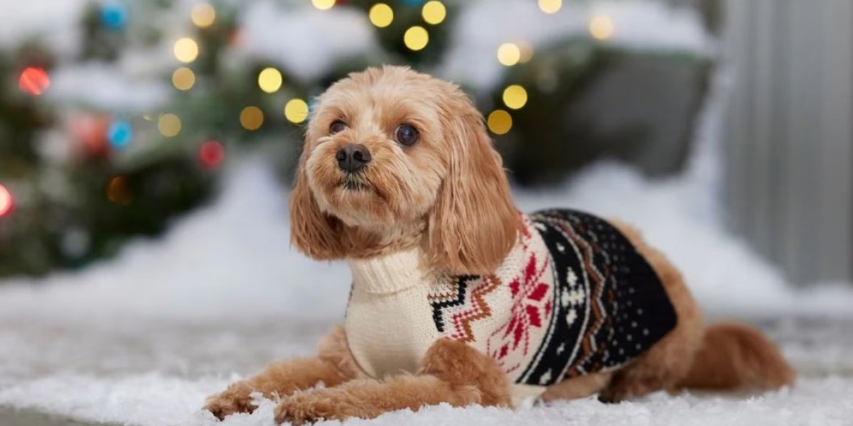 Trendy Parkas for Dogs: Fashion Meets Functionality