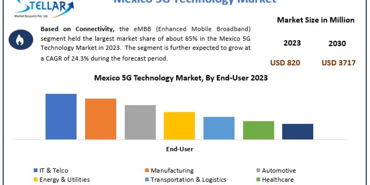 Mexico 5G Technology Market Metrics Marvels: Size, Share, Revenue, and Worth Statistics | 2024-2030