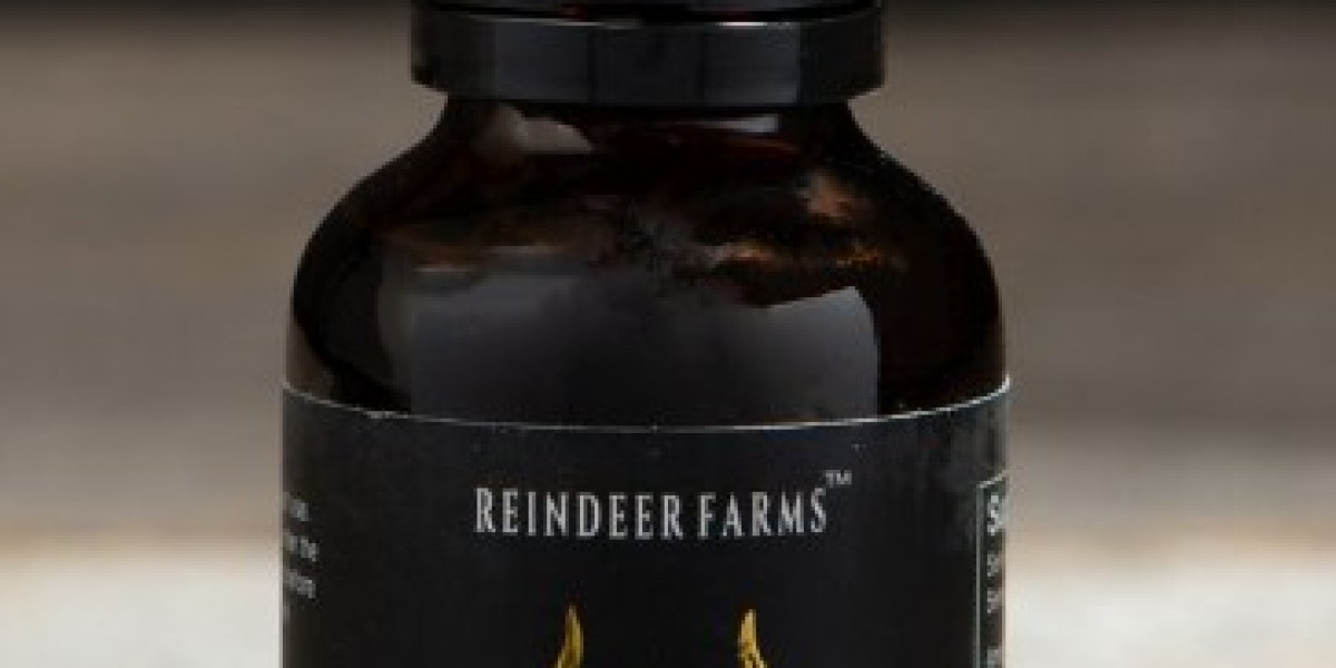The Growing Popularity of Reindeer Farms: A Blend of Tradition and Modernity