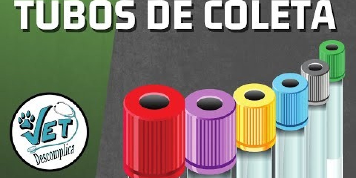 Los mejores piensos para gatos con insuficiencia renal