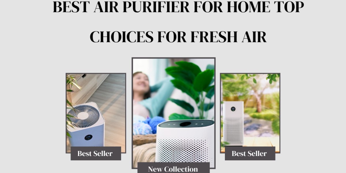 Best Air Purifier for Home Top Choices for Fresh Air