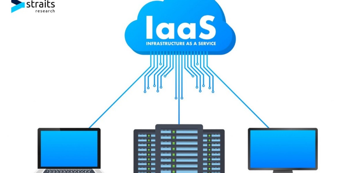 Clouding Judgement: Exploring the Backbone of IaaS in Modern Businesses