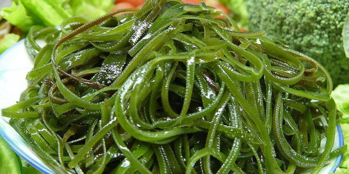Seaweed Extract Market is Expected to Gain Popularity Across the Globe by 2032