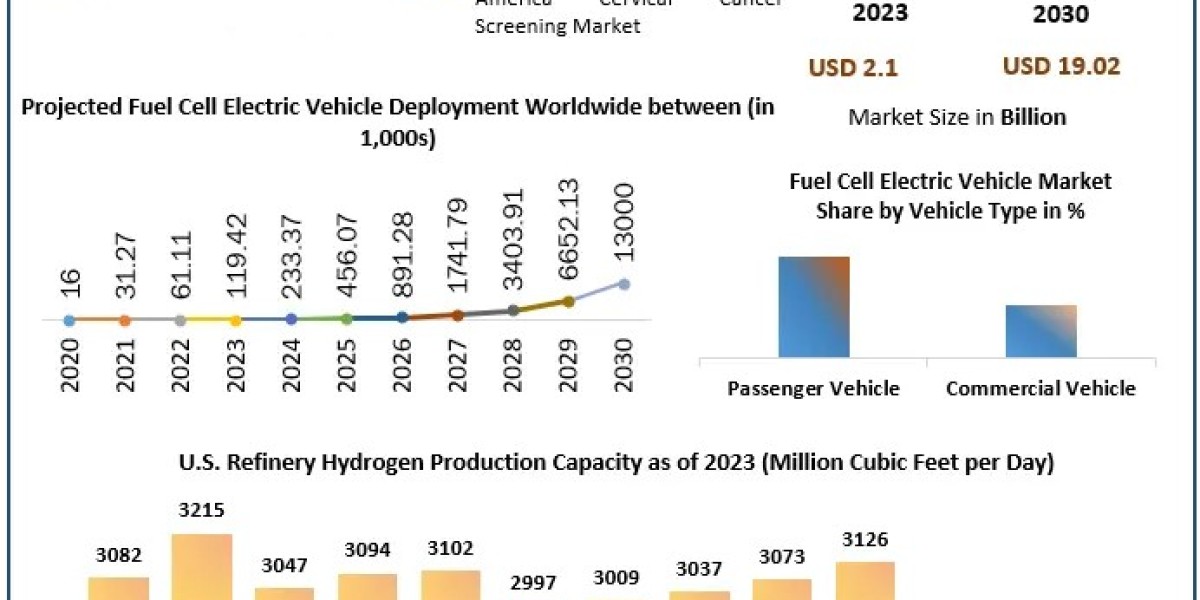 Fuel Cell Electric Vehicle Market Development Strategy, Explosive Factors of Revenue by Key Vendors Demand and Industry 