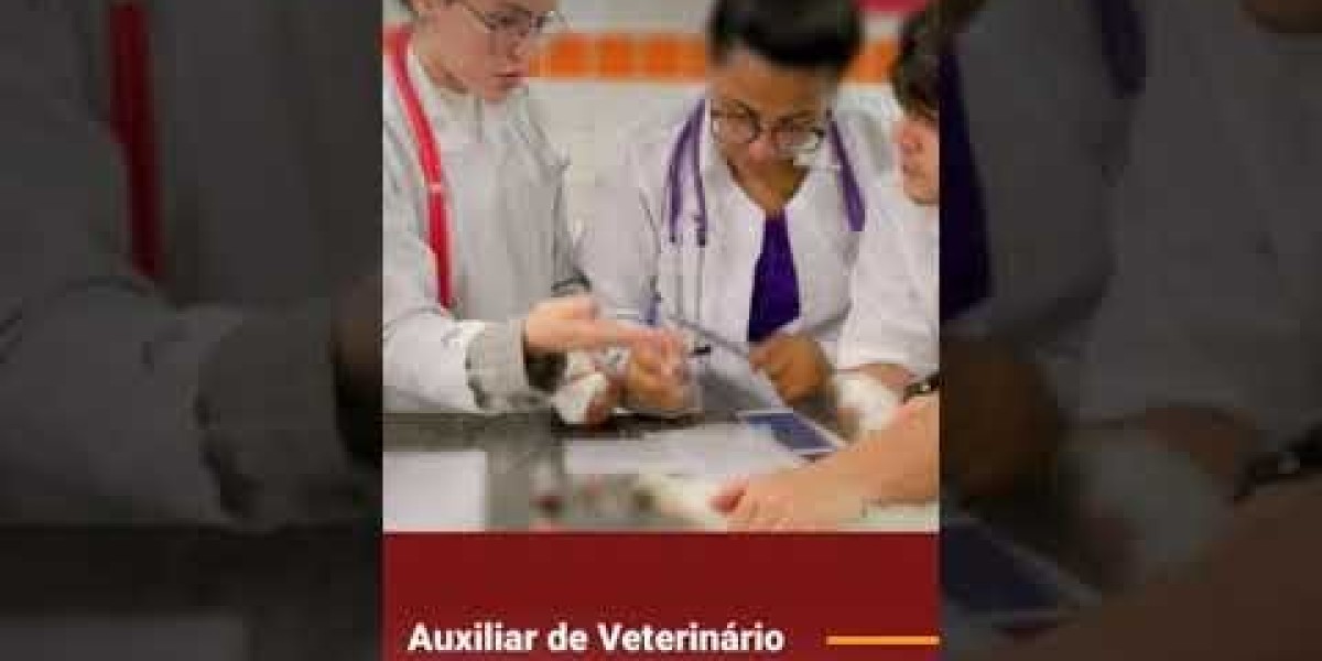 Problemas RENALES en Perros Enfermedades, Causas y Síntomas