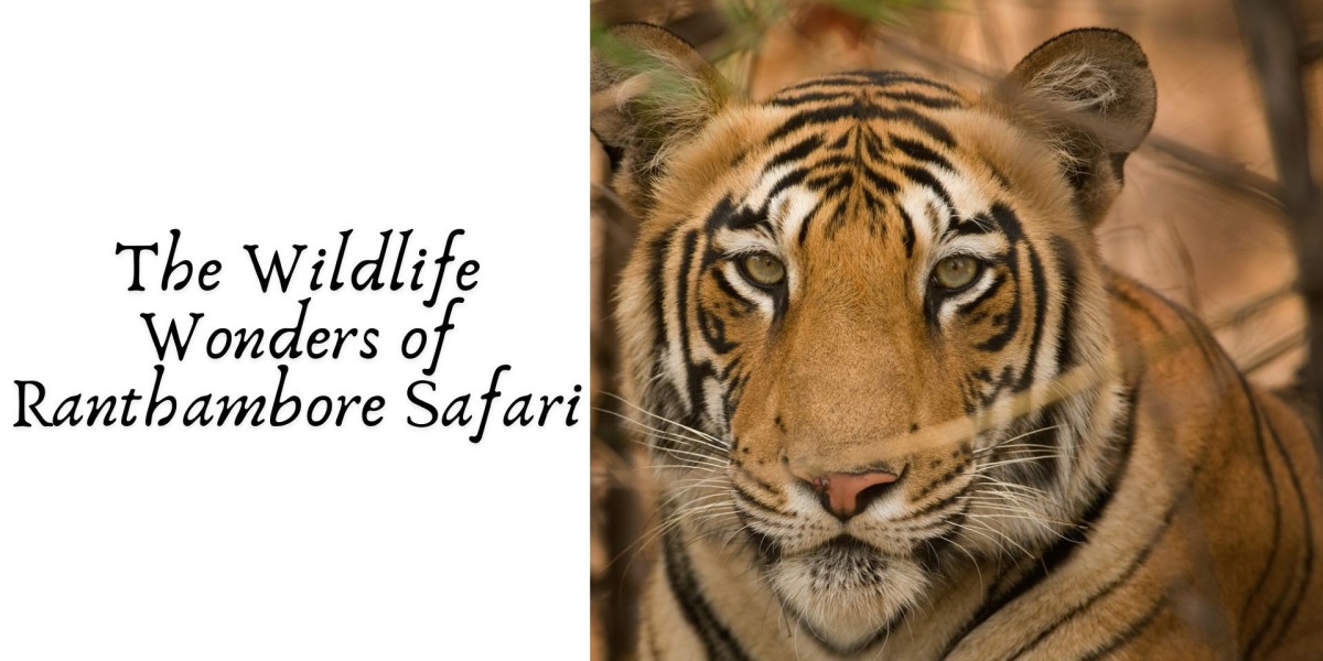 The Wildlife Wonders of Ranthambore Safari