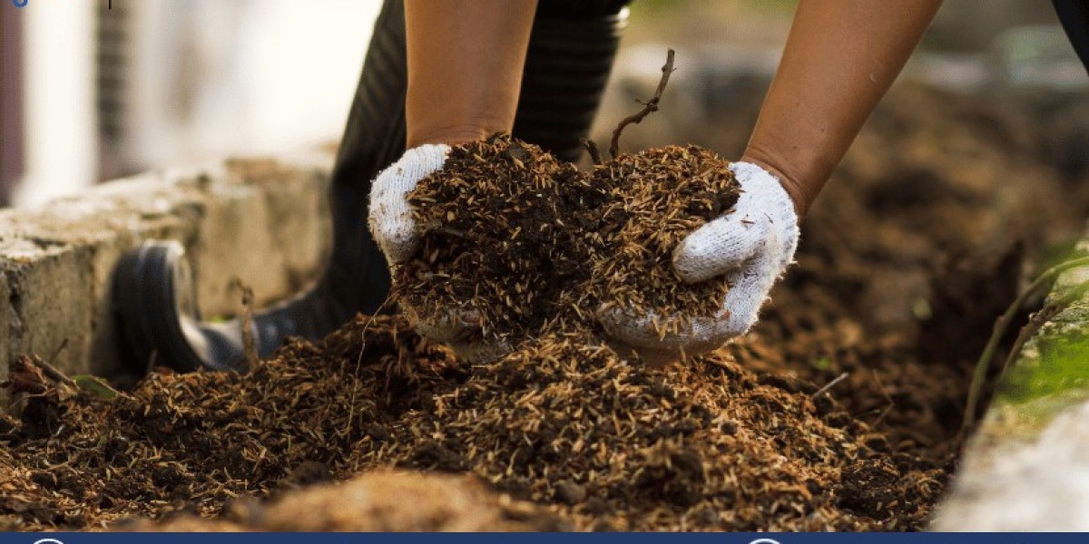 Soil Treatment Market Size, Growth & Trends Report - 2032