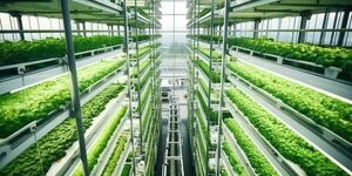 Vertical Farming Market to Develop New Growth and Opportunities Analysis Story