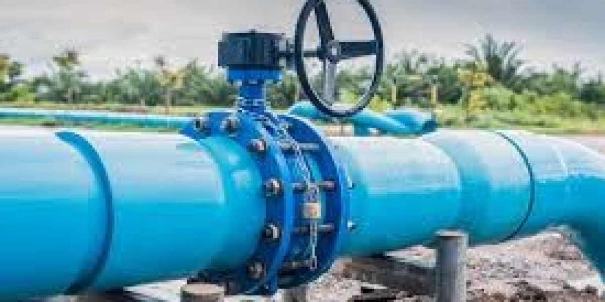 Asia Pacific Butterfly Valve Market Trends and Opportunity 2024-2032