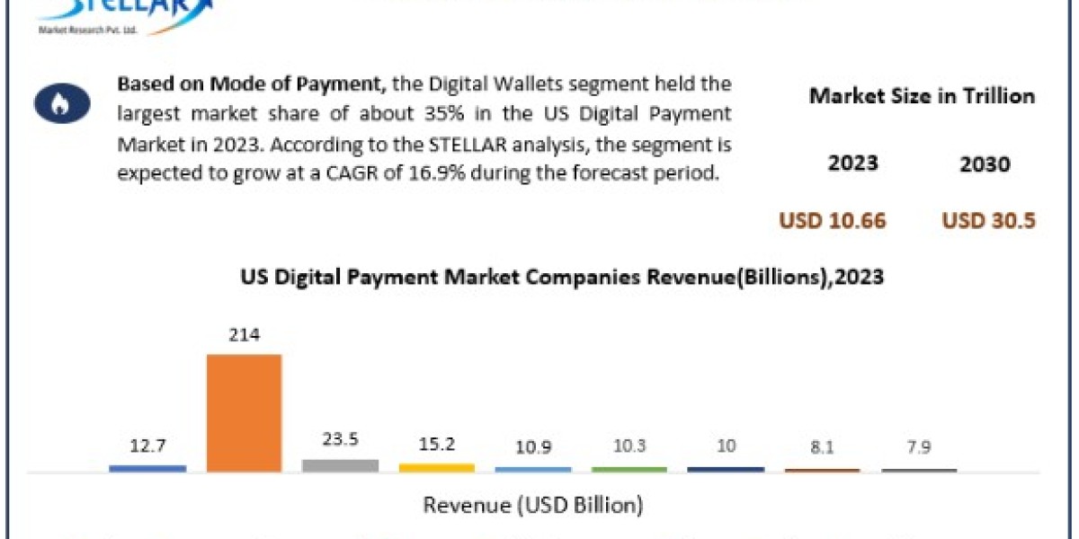 US Digital Payment Market  Size, Share, Price, Growth, Key Players, Analysis, Report, Forecast 2024-2030