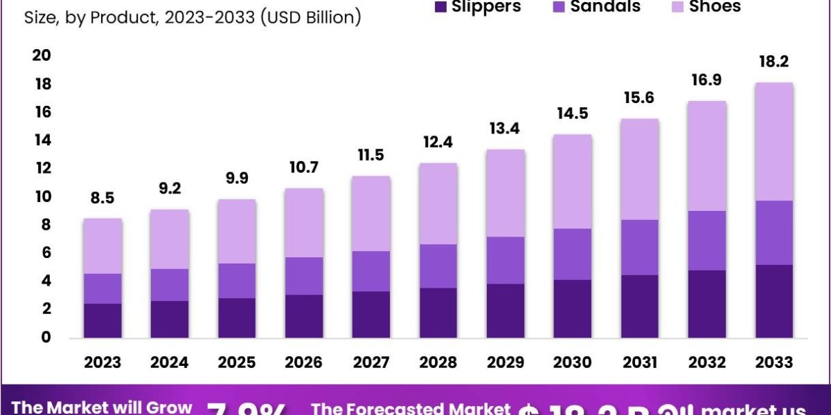 Diabetic Footwear Market: Innovations in Biomechanical Design for Improved Foot Care