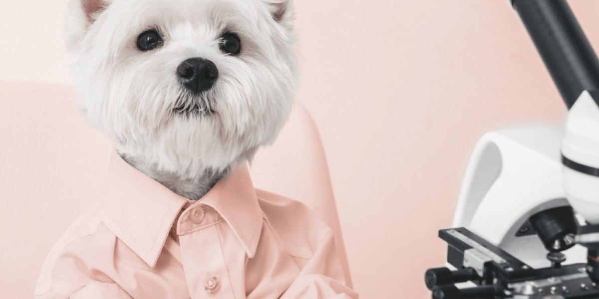 Why should I feed a dog with liver problems a special diet?