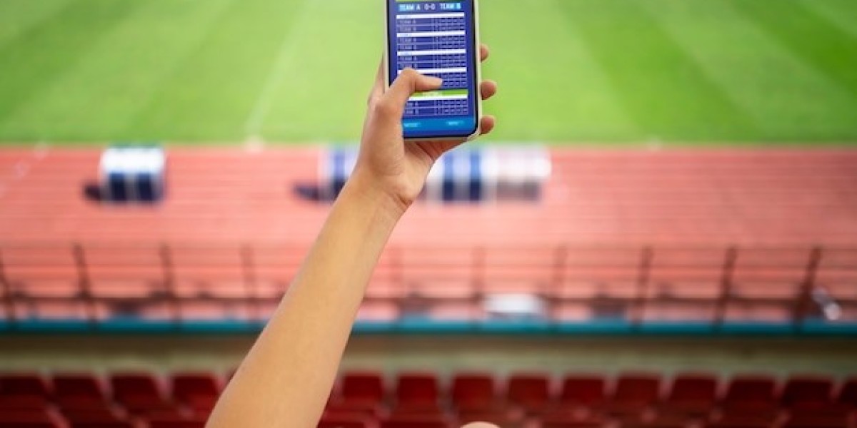 How to Launch a Successful Cricket Betting App in 2024: A Comprehensive Guide