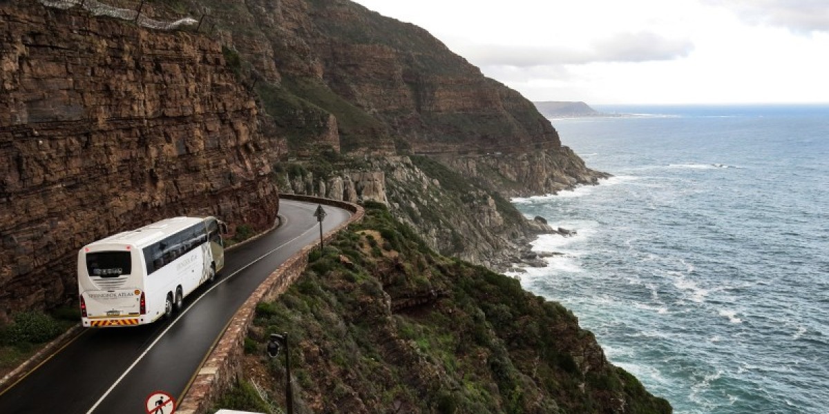 Exploring the Advantages of Charter Bus Rentals for Corporate Outings